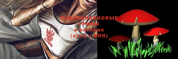 кокс Беломорск