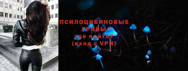 спиды Белокуриха
