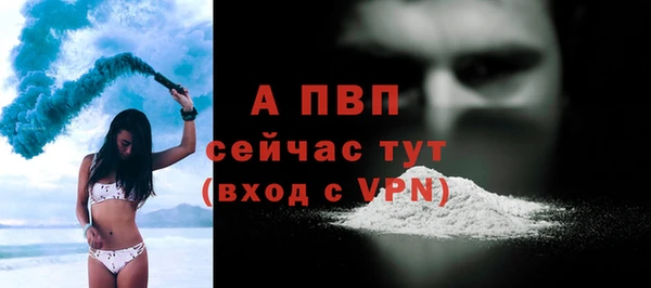 спиды Белокуриха