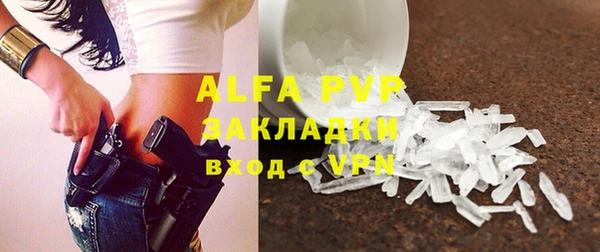 спиды Белокуриха