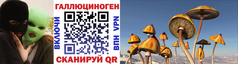 omg онион  Кондрово  Галлюциногенные грибы Psilocybine cubensis 